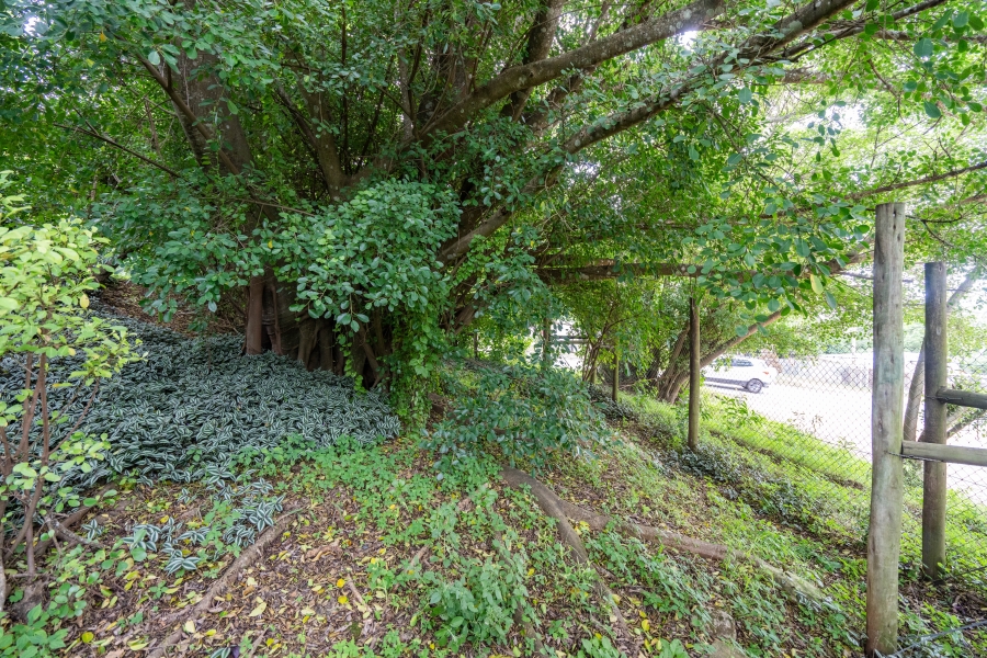 To Let 2 Bedroom Property for Rent in Bathurst Eastern Cape